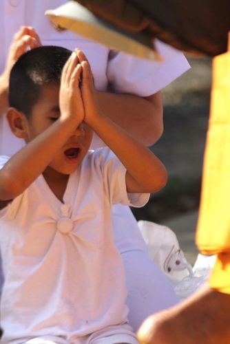 ภาพ No.6647:ประมวลภาพธุดงค์ธรรมชัย ปีที่ 2 วันที่ 12 มกราคม พ.ศ.2556