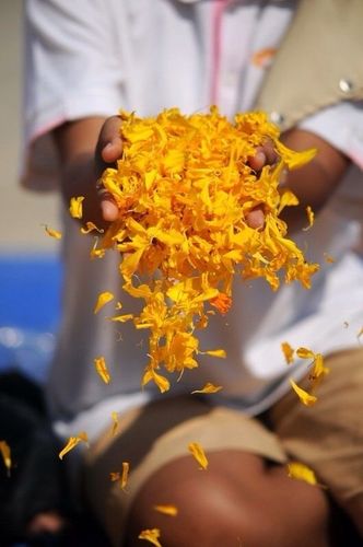 ภาพ No.6669:ประมวลภาพธุดงค์ธรรมชัย ปีที่ 2 วันที่ 12 มกราคม พ.ศ.2556