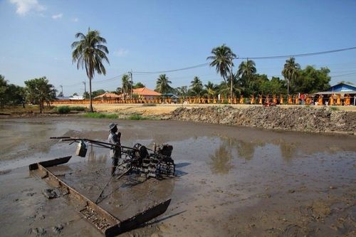 ภาพ No.6689:ประมวลภาพธุดงค์ธรรมชัย ปีที่ 2 วันที่ 12 มกราคม พ.ศ.2556