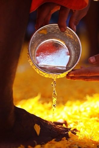 ภาพ No.6697:ประมวลภาพธุดงค์ธรรมชัย ปีที่ 2 วันที่ 12 มกราคม พ.ศ.2556