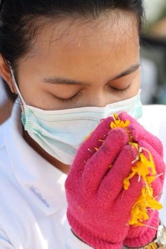 ภาพ No.6710:ประมวลภาพธุดงค์ธรรมชัย ปีที่ 2 วันที่ 12 มกราคม พ.ศ.2556