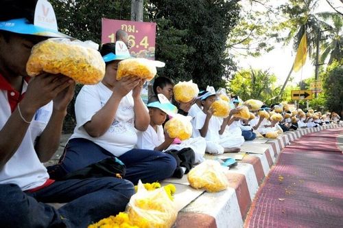 ภาพ No.6887:ประมวลภาพธุดงค์ธรรมชัย ปีที่ 2 วันที่ 14 มกราคม พ.ศ.2556