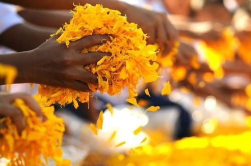 ภาพ No.6917:ประมวลภาพธุดงค์ธรรมชัย ปีที่ 2 วันที่ 14 มกราคม พ.ศ.2556