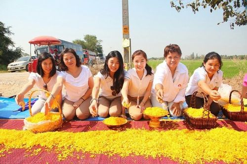 ภาพ No.7125:ประมวลภาพธุดงค์ธรรมชัย ปีที่ 2 วันที่ 17 มกราคม พ.ศ.2556