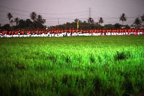 ภาพ No.7132:ประมวลภาพธุดงค์ธรรมชัย ปีที่ 2 วันที่ 17 มกราคม พ.ศ.2556