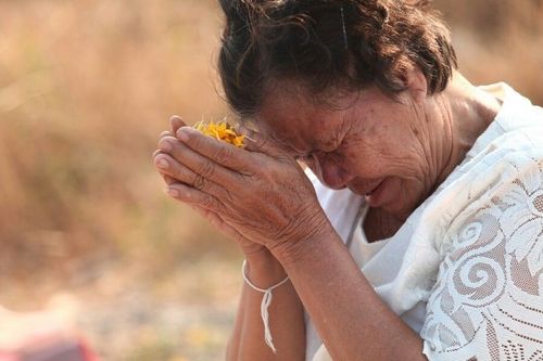 ภาพ No.7143:ประมวลภาพธุดงค์ธรรมชัย ปีที่ 2 วันที่ 17 มกราคม พ.ศ.2556