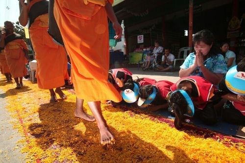 ภาพ No.7154:ประมวลภาพธุดงค์ธรรมชัย ปีที่ 2 วันที่ 17 มกราคม พ.ศ.2556