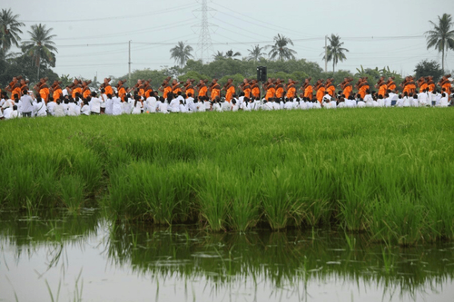 ภาพ No.7118:ประมวลภาพธุดงค์ธรรมชัย ปีที่ 2 วันที่ 17 มกราคม พ.ศ.2556