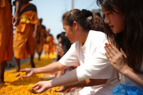 ภาพ No.7436:ประมวลภาพธุดงค์ธรรมชัย ปีที่ 2 วันที่ 22 มกราคม พ.ศ.2556