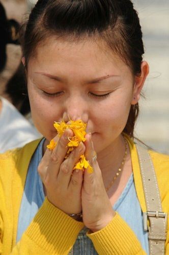 ภาพ No.7466:ประมวลภาพธุดงค์ธรรมชัย ปีที่ 2 วันที่ 22 มกราคม พ.ศ.2556