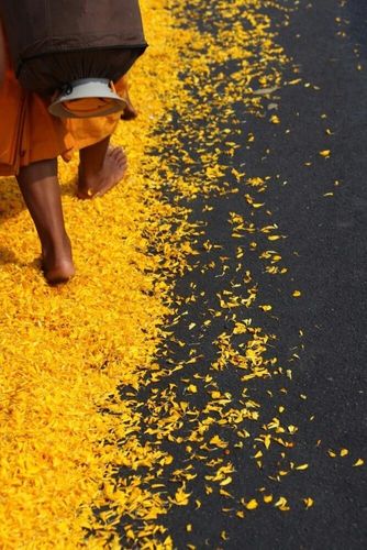 ภาพ No.7694:ประมวลภาพธุดงค์ธรรมชัย ปีที่ 2 วันที่ 25 มกราคม พ.ศ.2556