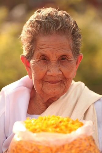 ภาพ No.7763:ประมวลภาพธุดงค์ธรรมชัย ปีที่ 2 วันที่ 26 มกราคม พ.ศ.2556