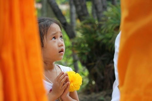 ภาพ No.7773:ประมวลภาพธุดงค์ธรรมชัย ปีที่ 2 วันที่ 26 มกราคม พ.ศ.2556