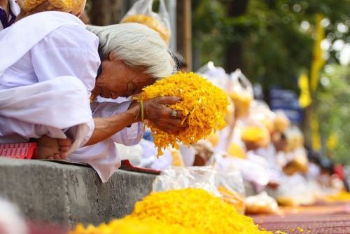 ภาพ No.7787:ประมวลภาพธุดงค์ธรรมชัย ปีที่ 2 วันที่ 26 มกราคม พ.ศ.2556