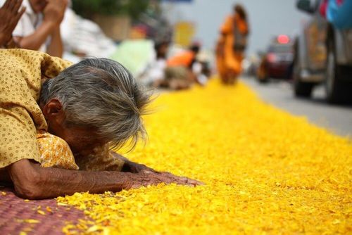 ภาพ No.7836:ประมวลภาพธุดงค์ธรรมชัย ปีที่ 2 วันที่ 27 มกราคม พ.ศ.2556