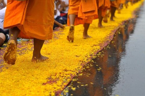 ภาพ No.7859:ประมวลภาพธุดงค์ธรรมชัย ปีที่ 2 วันที่ 27 มกราคม พ.ศ.2556