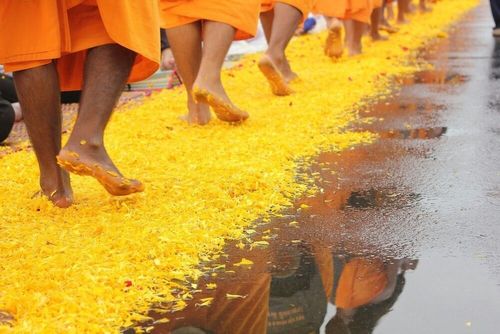 ภาพ No.7861:ประมวลภาพธุดงค์ธรรมชัย ปีที่ 2 วันที่ 27 มกราคม พ.ศ.2556