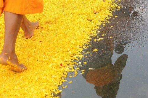 ภาพ No.7862:ประมวลภาพธุดงค์ธรรมชัย ปีที่ 2 วันที่ 27 มกราคม พ.ศ.2556