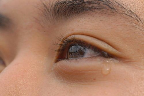 ภาพ No.7868:ประมวลภาพธุดงค์ธรรมชัย ปีที่ 2 วันที่ 27 มกราคม พ.ศ.2556