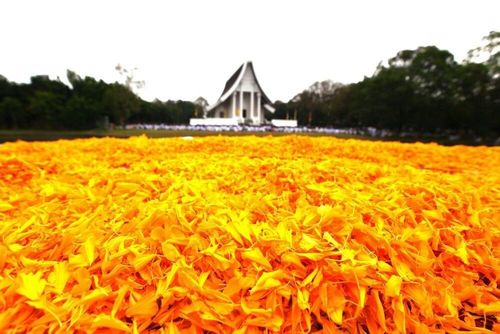 ภาพ No.7938:ประมวลภาพธุดงค์ธรรมชัย ปีที่ 2 วันที่ 27 มกราคม พ.ศ.2556
