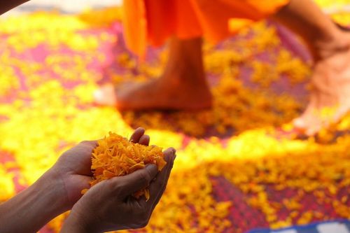 ภาพ No.8339:พิธีอัญเชิญรูปหล่อทองคำ พระมงคลเทพมุนี (สด จนฺทสโร) ประดิษฐาน ณ วัดสองพี่น้อง (พระอารามหลวง) จ.สุพรรณบุรี ประจำวันจันทร์ที่ 25 มีนาคม พ.ศ.2556