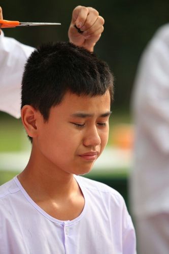 ภาพ No.8517:พิธีตัดปอยผมมัชฌิมธรรมทายาท ภาคฤดูร้อน ประจำปี 2556