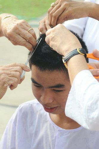 ภาพ No.8520:พิธีตัดปอยผมมัชฌิมธรรมทายาท ภาคฤดูร้อน ประจำปี 2556