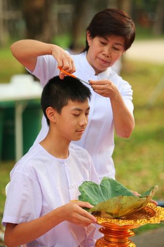 ภาพ No.8524:พิธีตัดปอยผมมัชฌิมธรรมทายาท ภาคฤดูร้อน ประจำปี 2556