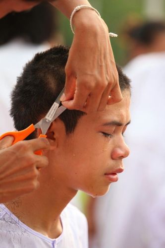 ภาพ No.8527:พิธีตัดปอยผมมัชฌิมธรรมทายาท ภาคฤดูร้อน ประจำปี 2556