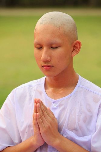 ภาพ No.8526:พิธีตัดปอยผมมัชฌิมธรรมทายาท ภาคฤดูร้อน ประจำปี 2556