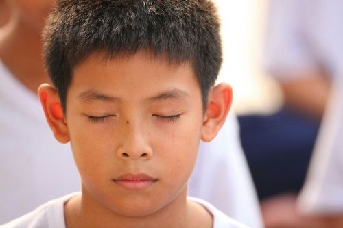 ภาพ No.8542:พิธีตัดปอยผมโครงการอบรมสามเณร "หน่อแก้วเปรียญธรรม"