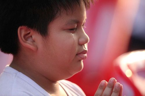 ภาพ No.8541:พิธีตัดปอยผมโครงการอบรมสามเณร "หน่อแก้วเปรียญธรรม"