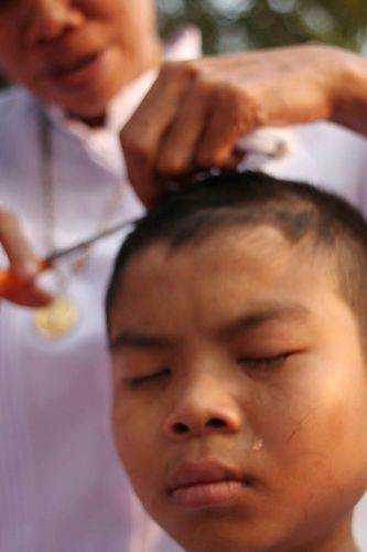 ภาพ No.8555:พิธีตัดปอยผมโครงการอบรมสามเณร "หน่อแก้วเปรียญธรรม"