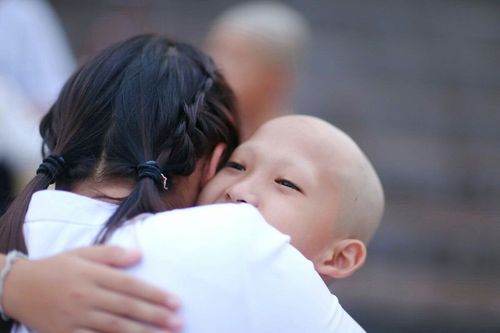 ภาพ No.8548:พิธีตัดปอยผมโครงการอบรมสามเณร "หน่อแก้วเปรียญธรรม"