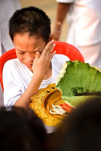 ภาพ No.8552:พิธีตัดปอยผมโครงการอบรมสามเณร "หน่อแก้วเปรียญธรรม"