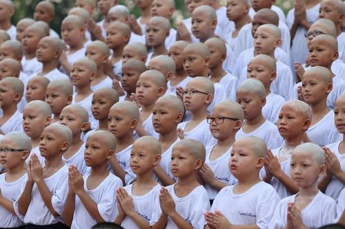 ภาพ No.8556:พิธีตัดปอยผมโครงการอบรมสามเณร "หน่อแก้วเปรียญธรรม"