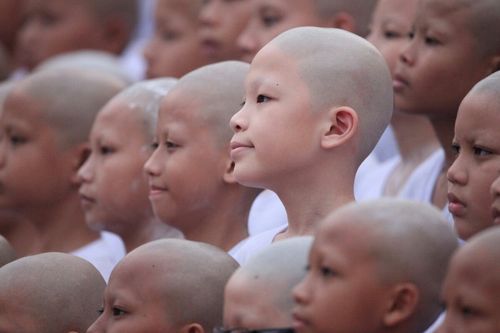 ภาพ No.8559:พิธีตัดปอยผมโครงการอบรมสามเณร "หน่อแก้วเปรียญธรรม"