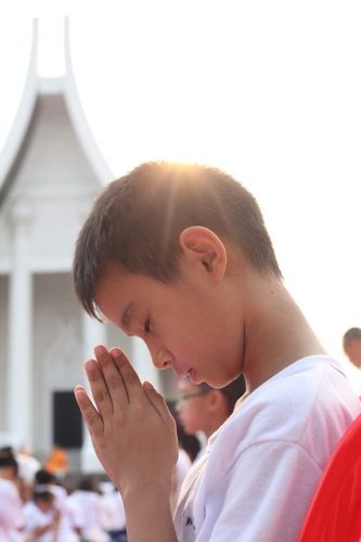 ภาพ No.8558:พิธีตัดปอยผมโครงการอบรมสามเณร "หน่อแก้วเปรียญธรรม"