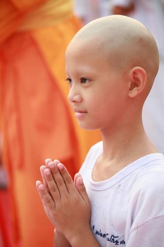 ภาพ No.8561:พิธีตัดปอยผมโครงการอบรมสามเณร "หน่อแก้วเปรียญธรรม"