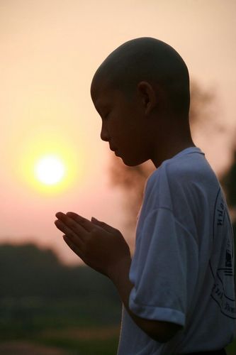 ภาพ No.8560:พิธีตัดปอยผมโครงการอบรมสามเณร "หน่อแก้วเปรียญธรรม"