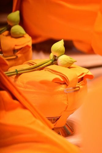 ประมวลภาพวันวิสาขบูชา ประจำปีพุทธศักราช 2556