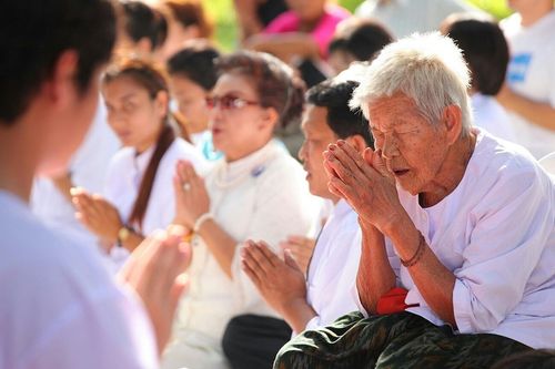 ภาพ No.8737:ประมวลภาพพิธีตัดปอยผมธรรมทายาท ระดับอุดมศึกษา รุ่นที่ 41 (โครงการ 2)