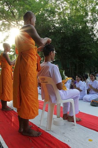 ภาพ No.8741:ประมวลภาพพิธีตัดปอยผมธรรมทายาท ระดับอุดมศึกษา รุ่นที่ 41 (โครงการ 2)