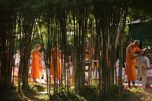 ภาพ No.8747:ประมวลภาพพิธีตัดปอยผมธรรมทายาท ระดับอุดมศึกษา รุ่นที่ 41 (โครงการ 2)