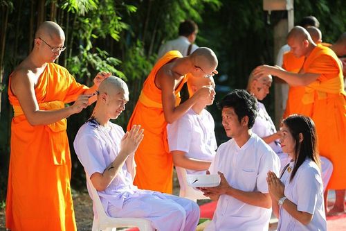 ภาพ No.8746:ประมวลภาพพิธีตัดปอยผมธรรมทายาท ระดับอุดมศึกษา รุ่นที่ 41 (โครงการ 2)
