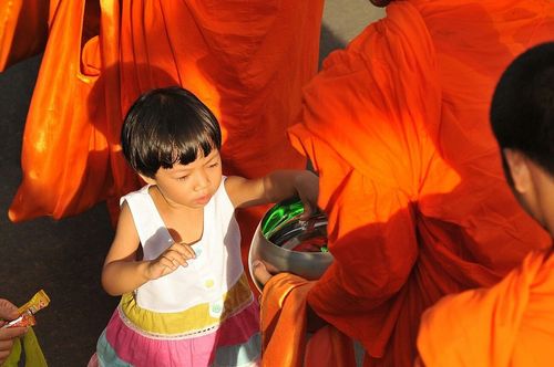 ภาพ No.8776:ประมวลภาพตักบาตรสมุทรปราการ พระ 11,111  รูป 