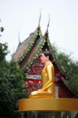 ภาพ No.8796:พิธีประดิษฐานองค์พระประธาน ณ วัดป่าหมาก อ.แม่ลาน้อย จ.แม่ฮ่องสอน