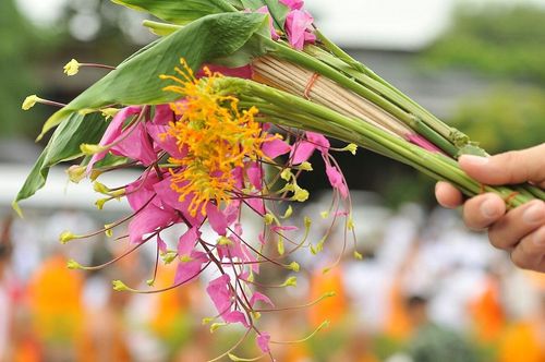 ภาพ No.9008:ประมวลภาพประเพณีตักบาตรดอกไม้ พระ 3,000 รูป