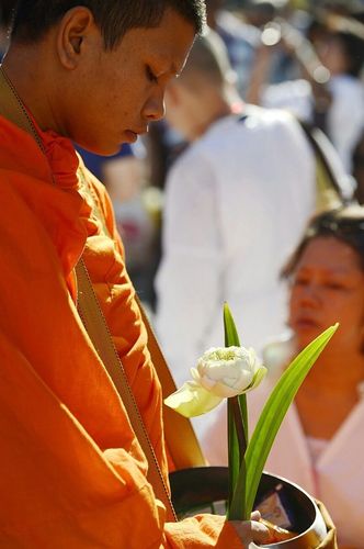 ภาพ No.9125:ประมวลภาพตักบาตรหาดใหญ่พระ 10,000 รูป วันที่ 18 สิงหาคม 2556