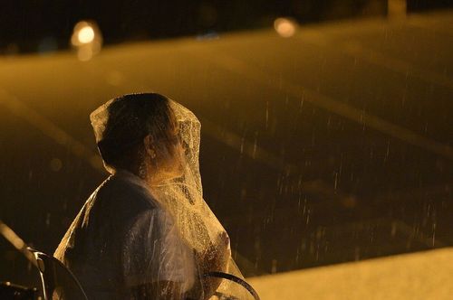 ภาพ No.9219:พิธีอัญเชิญรูปหล่อทองคำหลวงปู่ วันครูวิชชาธรรมกาย 2556